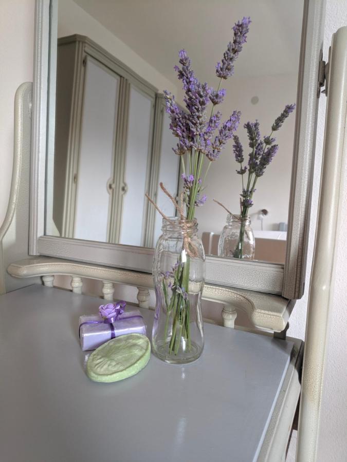 Apartment Soline Пьешчана-Увала Экстерьер фото